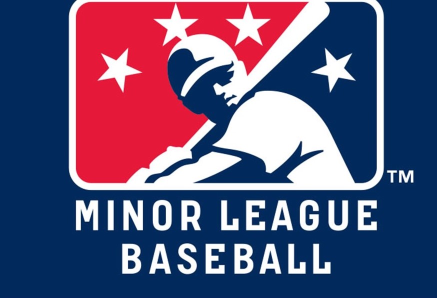 District 10 Members Minor League Baseball Game FCSU